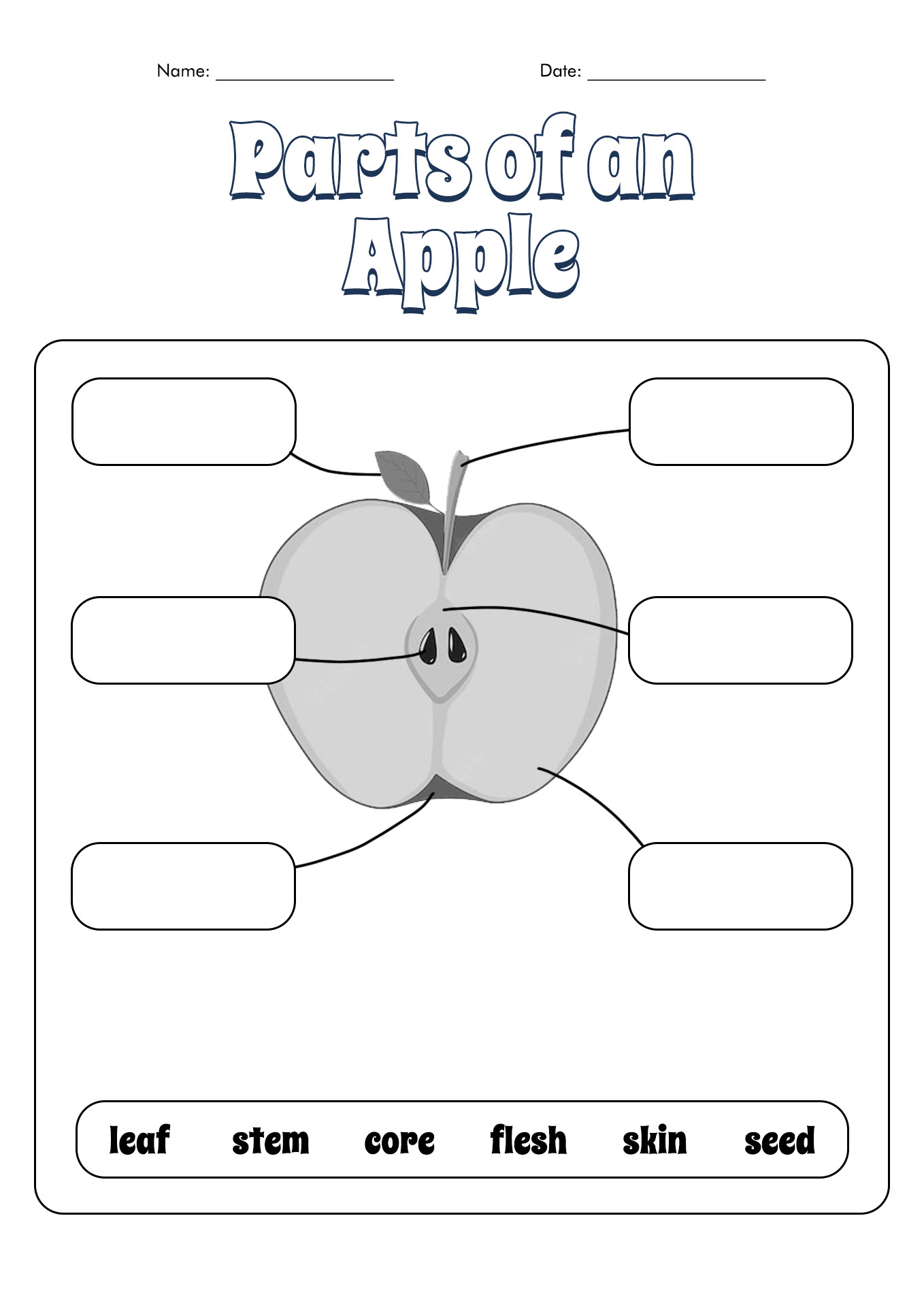 13 Best Images of Apple Activity Worksheets - Apple ...