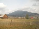 DSCN3091