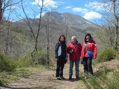 S. Guillermo, Peñacorada