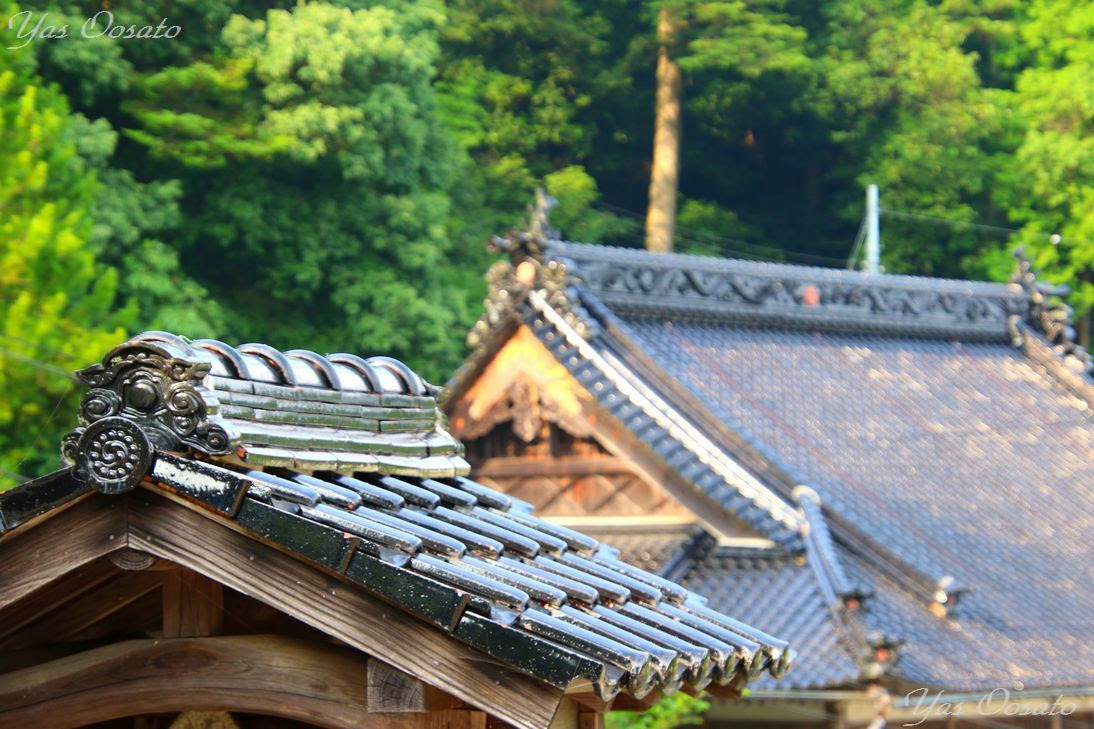 空海建立伝説の岡山高梁 祇園寺 で天狗大杉を見上げよう 岡山県 Lineトラベルjp 旅行ガイド