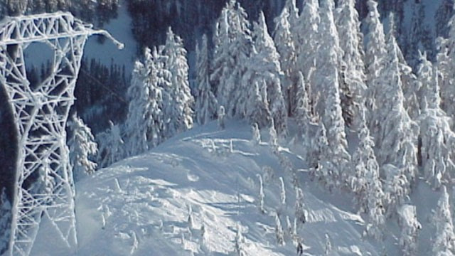 PHOTO: An avalanche near Stevens Pass ski area in Washington state swept four skiers 1,500 feet down a mountain, killing three of them, Sunday, Feb. 19, 2012, King County Sheriff's Office officials said.