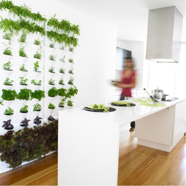 Indoor/Outdoor Living Wall Planters - contemporary - indoor pots ...
