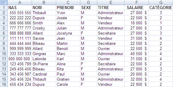 Excel 2007 : Données de base pour l'exerice sur le tableau croisé dynamique