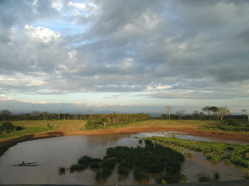 The waterhole at Treetops Lodge