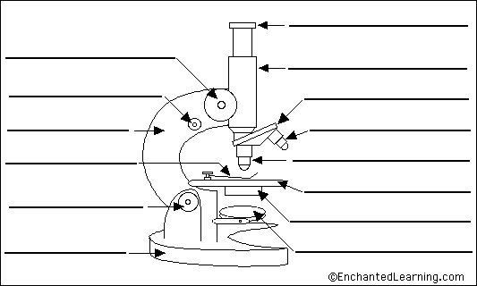 the functions of a microscope | Diabetes Inc.