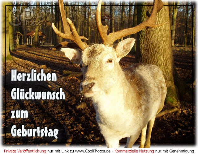 geburtstag wünsche entspannung