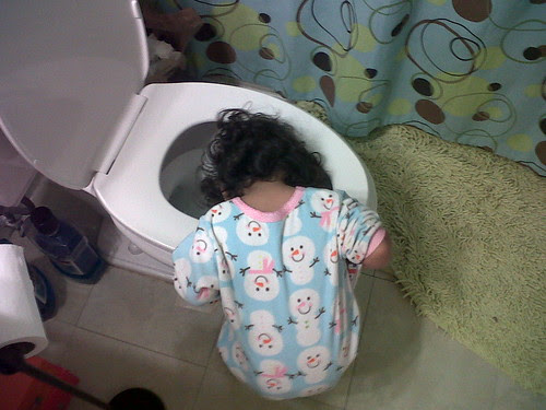IMG00480-20110630-0742