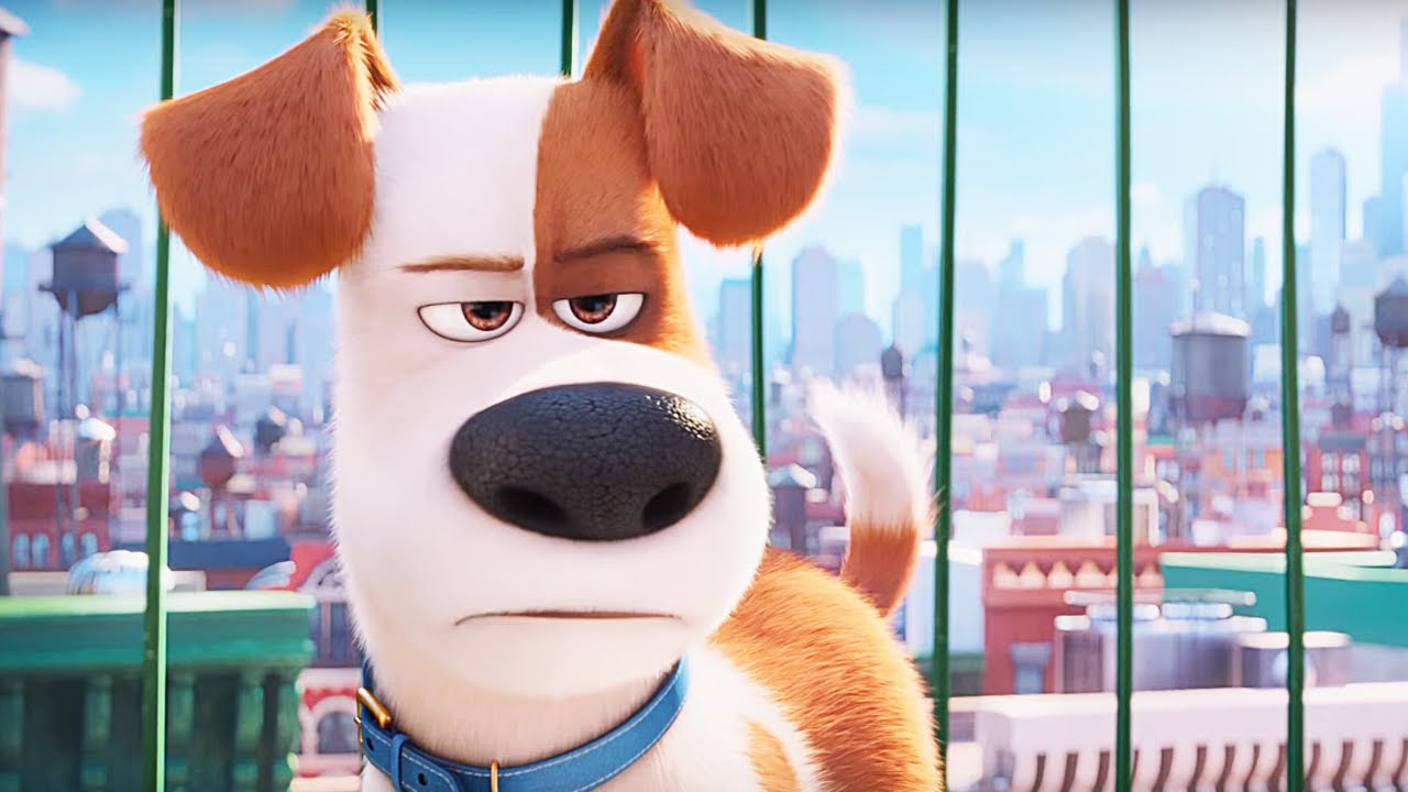 The Secret Life Of Pets Snowball Wallpapers In Jpg Format For Free