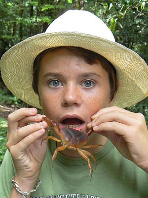 paul et le crabe.jpg