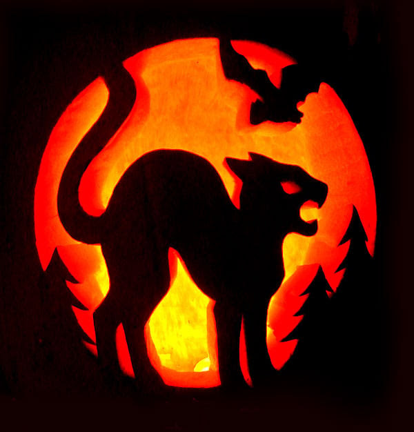 1000+ images about Pumpkin Carving on Pinterest  Pumpkin carvings