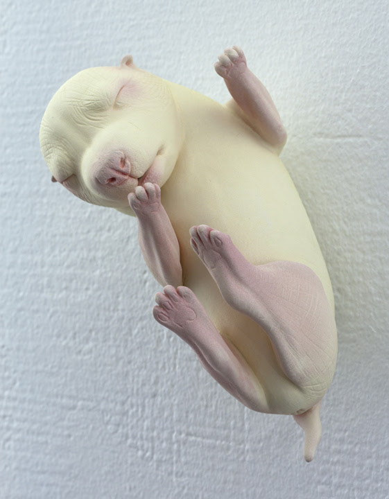 Odd Things by Erika Sanada