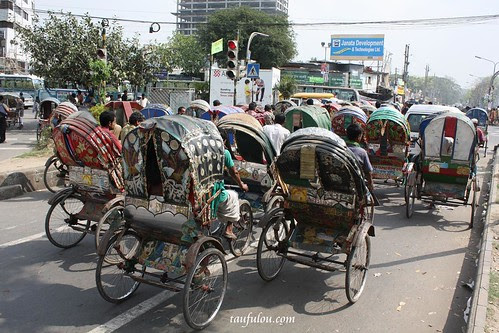 Bangla  (48)
