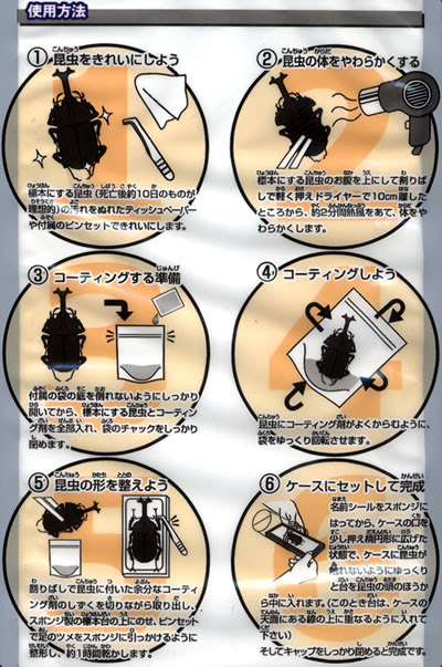 標本labo
