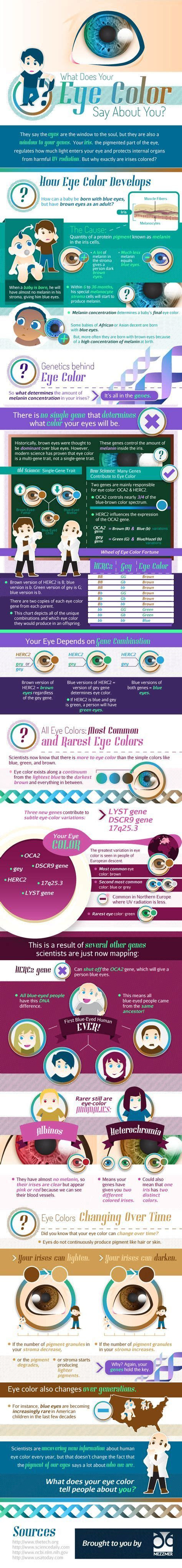  11 eye color percentages and statistics with images eye color chart