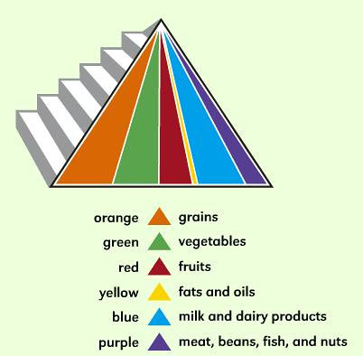 4 food groups for kids. kids food pyramid - food