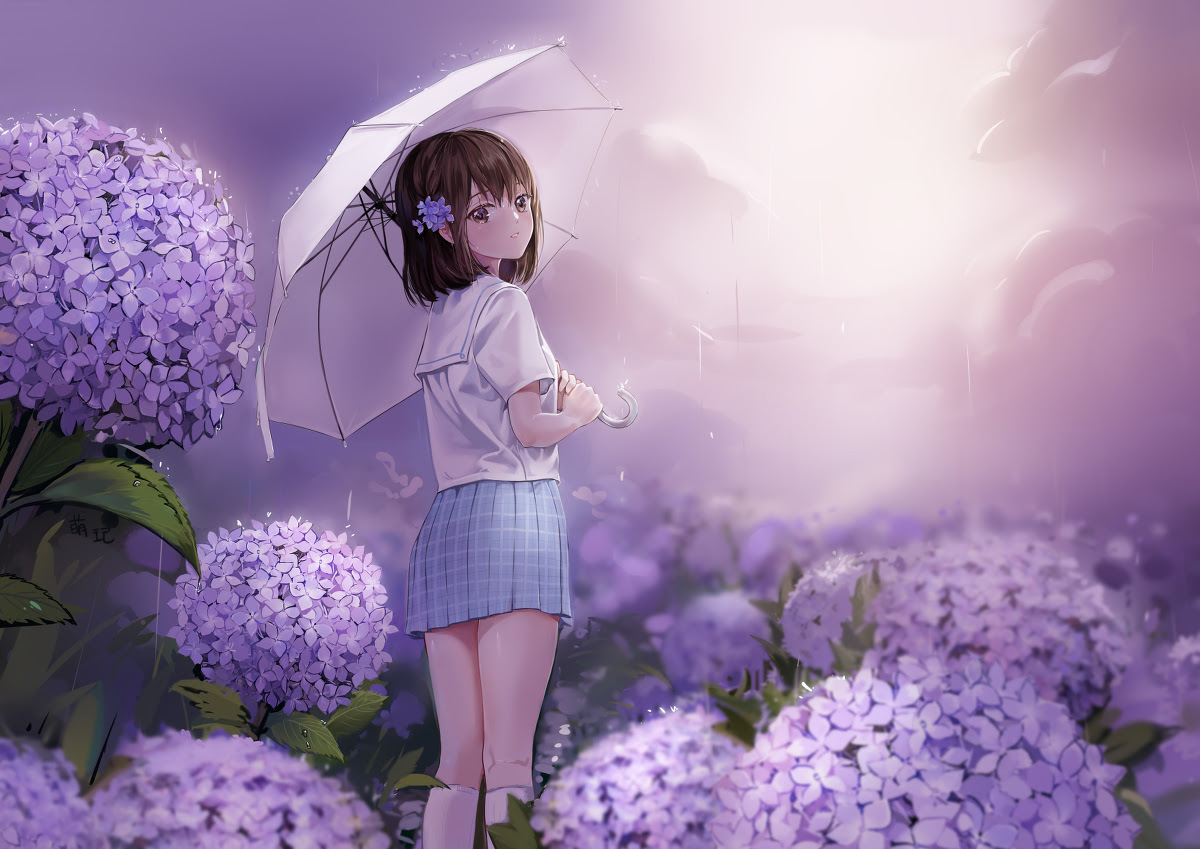 紫阳花壁纸 万图壁纸网