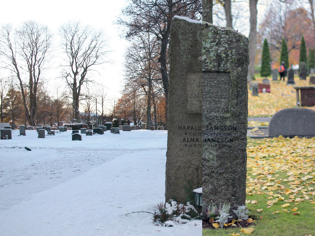 Winter & Autumn at the Cemetery