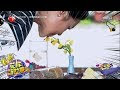 [最も共有された！ √] 8月28日 花 145613-静岡県 花火大会 8月28日