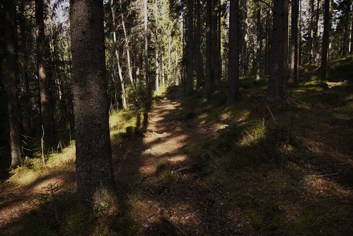 Petra_Domsjö_2011 066