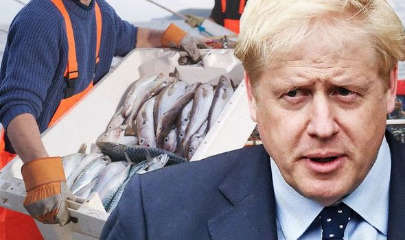 Brexit fishing boom: Britons have crucial chance to buy British and rebuild coastal areas