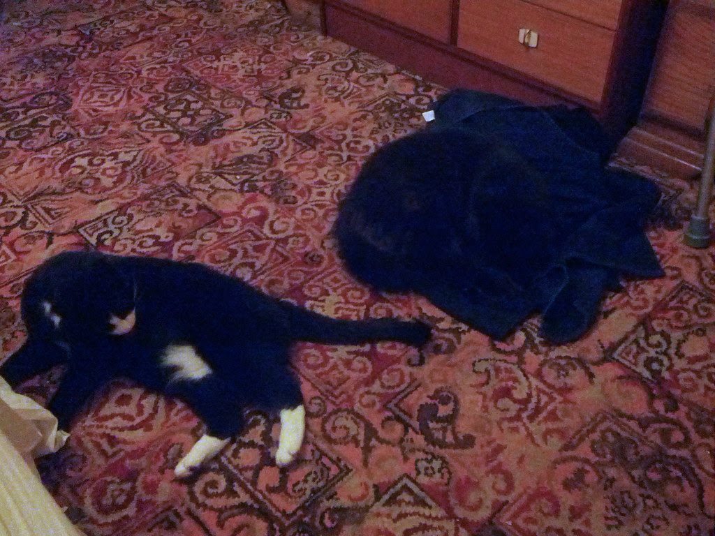 entente cordiale