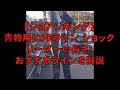 [10000印刷√] 青物 ライン 531636-青物 ラインシステム