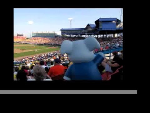 gold coast titans mascot. UCD Baseball Blue Gold Series