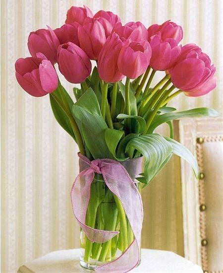 hoa-tulip-tang-me