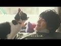 The Traveling Cat Chronicles Movie