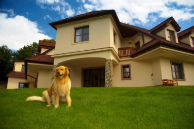 In Home Dog Training - Dog Training Alabama