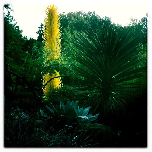 Chihuly at the Dallas arboretum