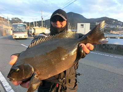 株式会社つり具のマルニシ 釣果情報ブログ