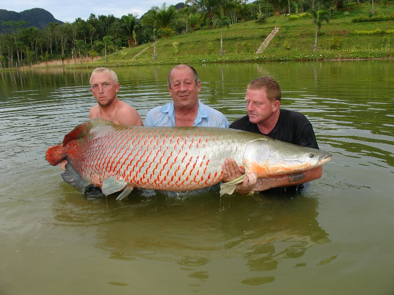 This is one of the best fishing park in Thailand, offering monster