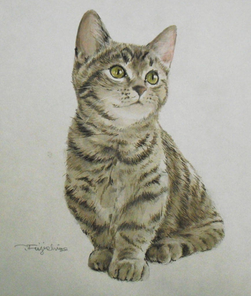 色紙に描く猫の写真を探しています 藤重日生の 猫絵 と 猫絵手紙