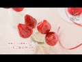 [最も好ましい] 砂糖いちご 489087-砂糖いちご