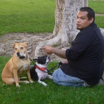 Watching my neighbors dog learn to socialize. My dog (not pictured ...