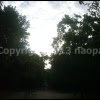 image host