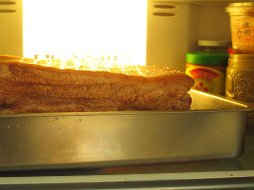 Crispy Roast Pork 脆皮烧肉