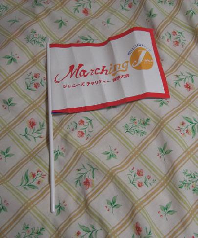 ミーハー女のミーハー日記２ Marching J ジャニーズチャリティ野球大会 2