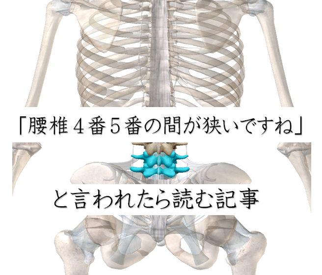 腰椎４番５番の間が狭いですね と言われたときに読む記事 背骨labo