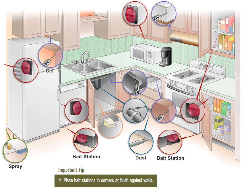 How to Get Rid of Roaches, Indoor Roach Control, Get Rid of ...