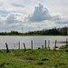 Flooded field