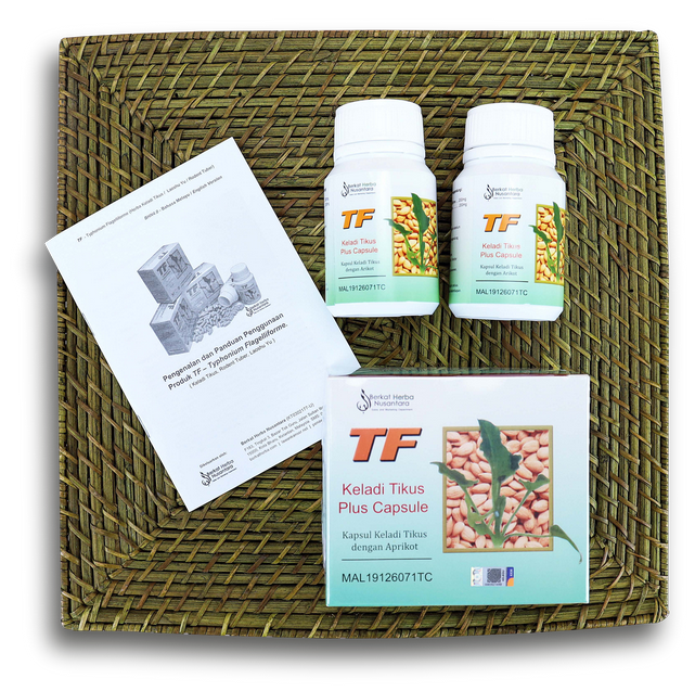 TF Keladi Tikus Aprikot - kanser, tahap serta kaedah yang 