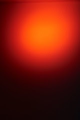 StrawsSnootsWColor_010
