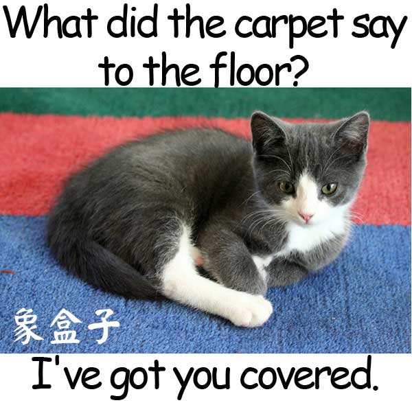capet floor 地毯 地板 have got you covered 我會為你代勞 我幫你搞定
