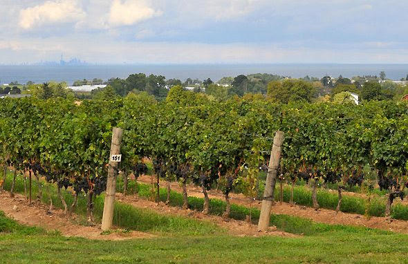 30 Bench Winery