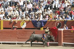 FREDDY VILLAFUERTE 3