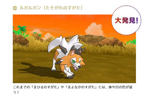 ルガルガン たそがれのすがた というイワンコの新進化系が公開 ポケモン剣盾 ソードシールド 攻略 最新情報 Pokemon Times