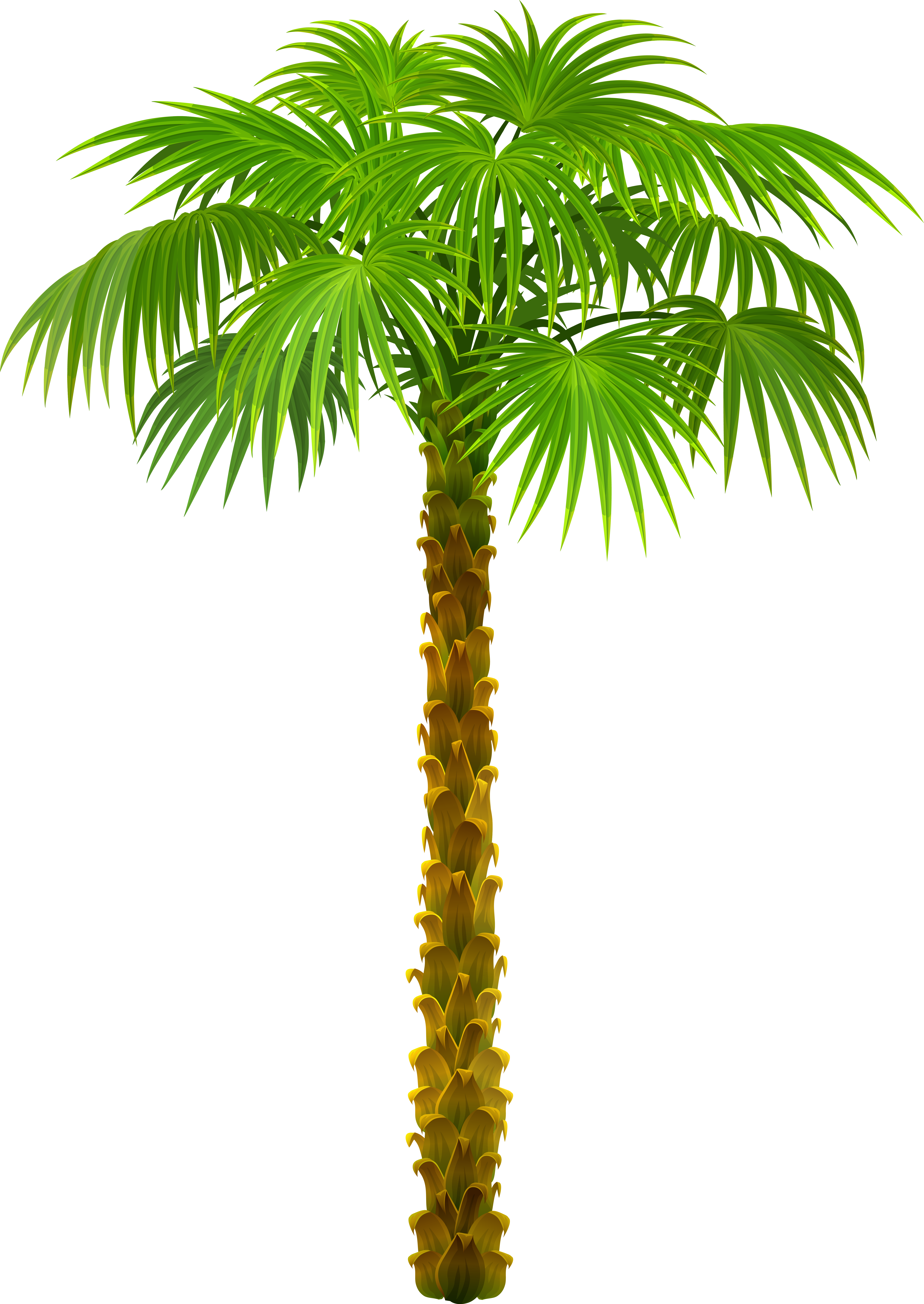 PNG HD Palm Tree Beach Transparent HD Palm Tree Beach PNG PNG HD Palm Tree Beach Transparent HD Palm Tree Beach PNG