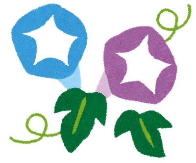 無料素材 青と紫のあさがおを描いた和風イラスト